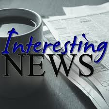 Fundación Tortuga pequeñas acciones gran impacto 3